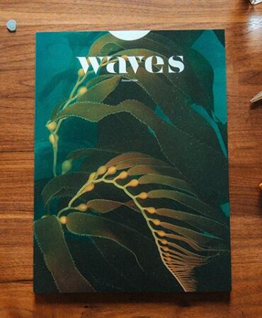 Real Food for Pregnancy